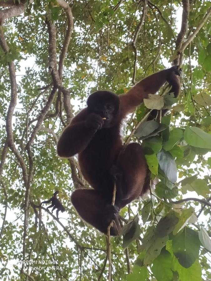 Jacamar Lodge Expeditions Икитос Экстерьер фото