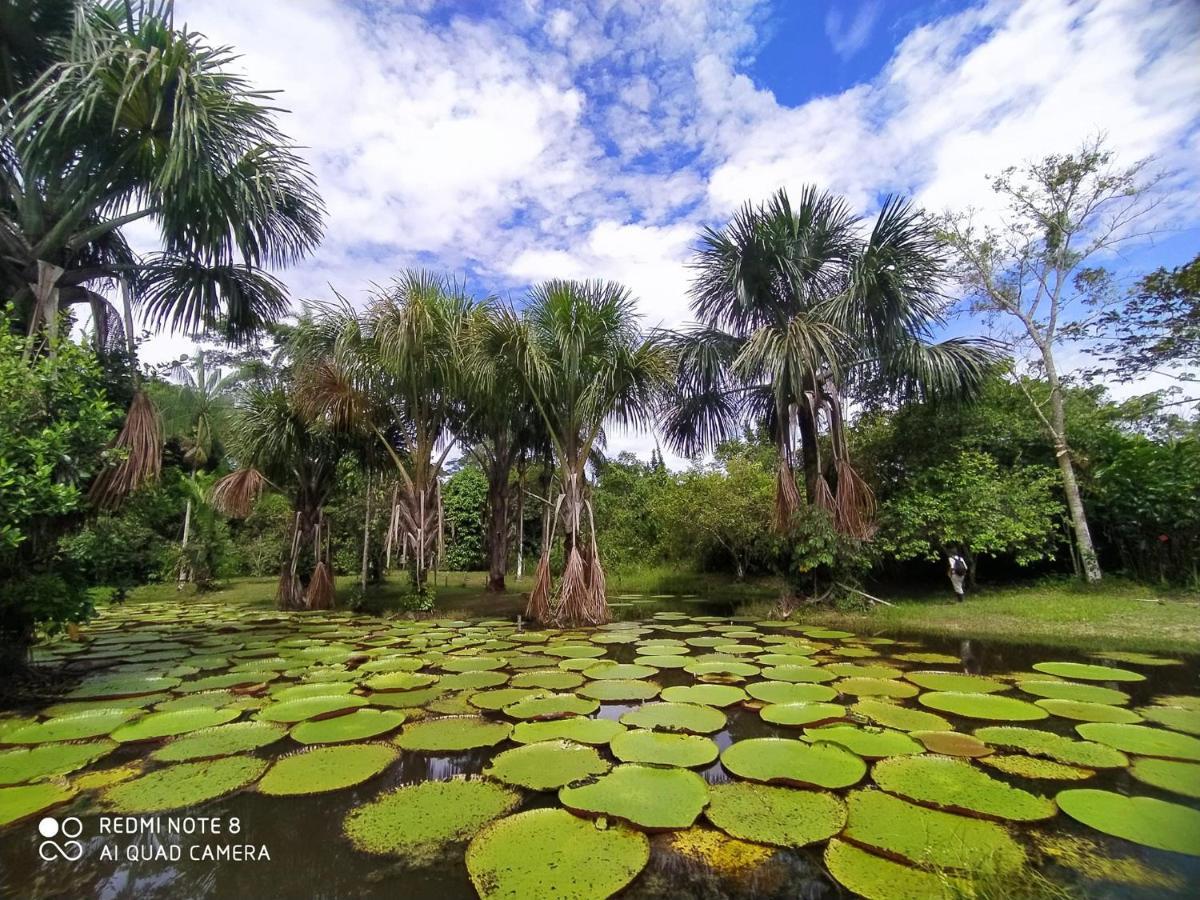 Jacamar Lodge Expeditions Икитос Экстерьер фото